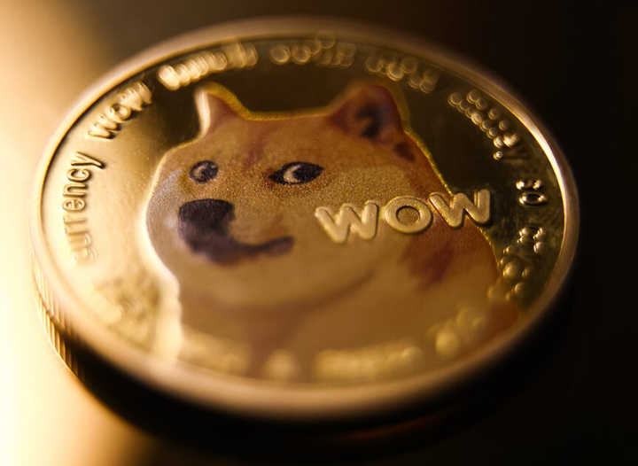 doge1 3