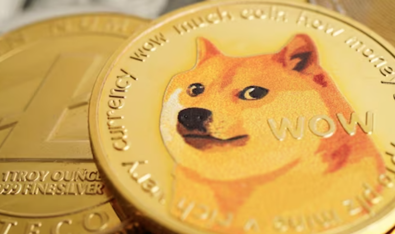 doge5.png