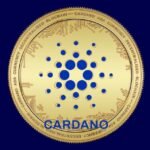 CARDANO 22.jpg