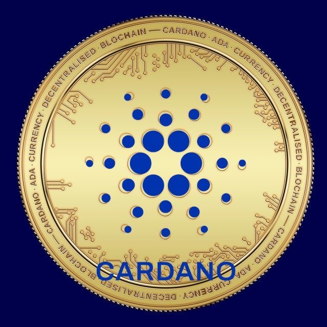 CARDANO 22.jpg