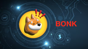 bonk1.png