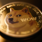 doge1.png