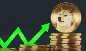 doge3.png