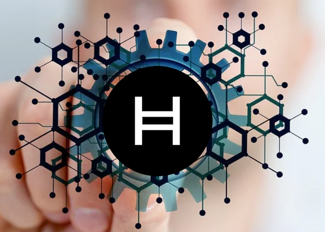 hedera2.png